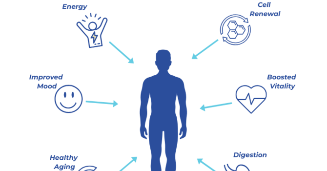 Best IV Therapy in Iowa: Boost Your Wellness Today